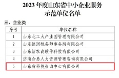 公司入選山東省中小(xiǎo)企業服務(wù)示範單位